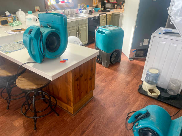 Best Flood damage cleanup  in Lewistown, PA