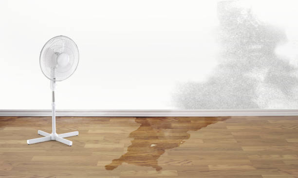 Best Residential water damage restoration  in Lewistown, PA