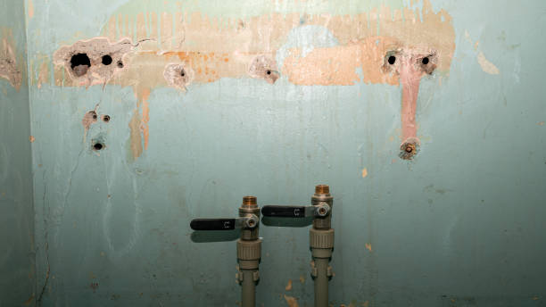 Best Water damage cleanup near me  in Lewistown, PA