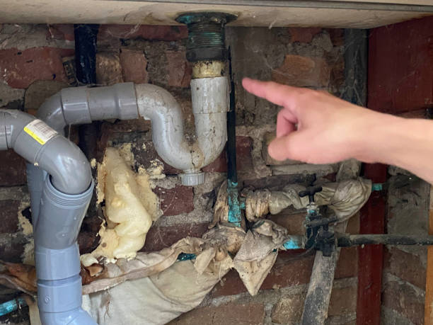 Best Flood damage cleanup  in Lewistown, PA